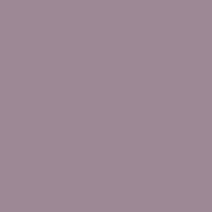 http://RAL%204009